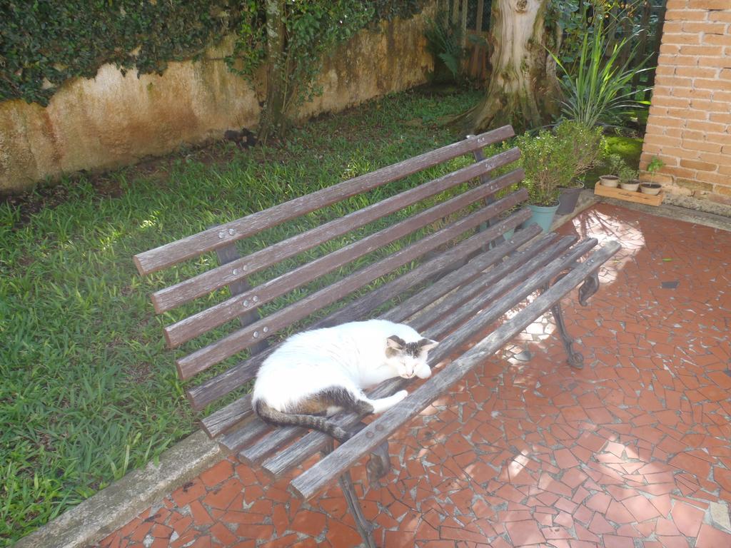 Hospedagem domiciliar Sunny Interlagos São Paulo