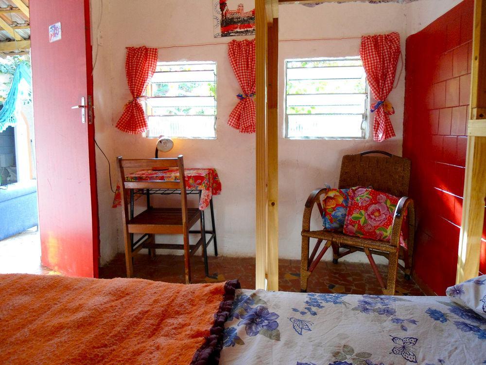 Albergue 3dogs