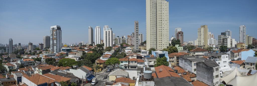 Rosa São Paulo