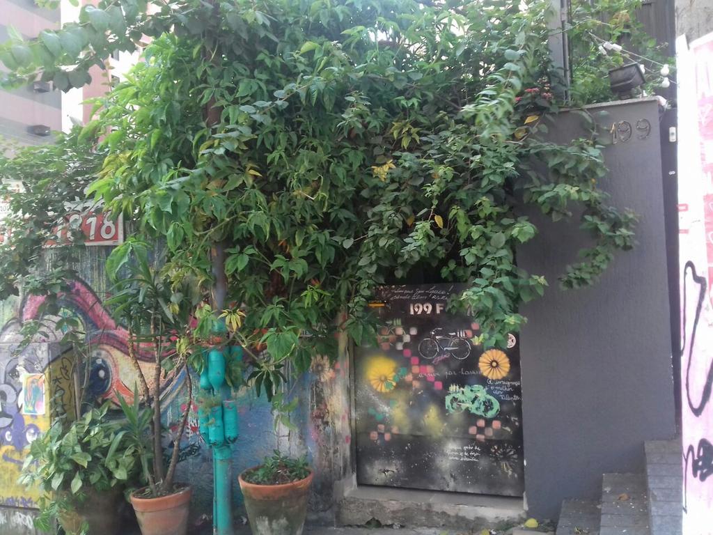 Hostel Girassol Madalena Sao Paulo