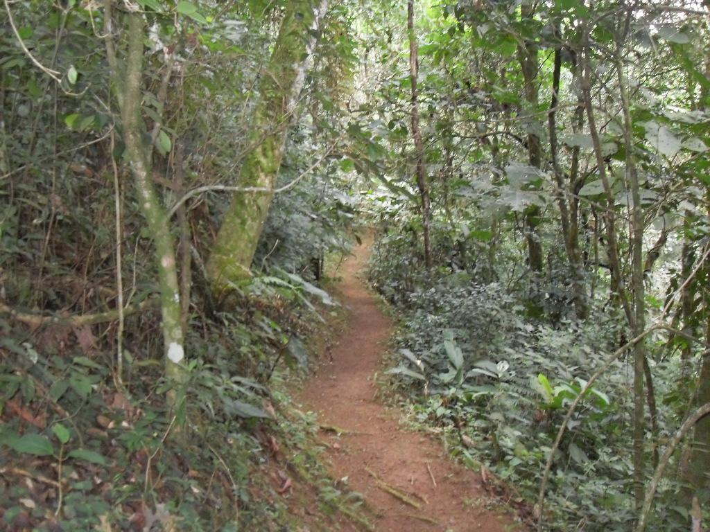Casa de hóspedes Itaky 50km De Monte Verde