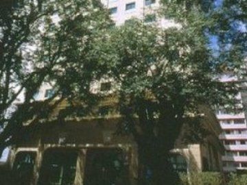 Hotel The Universe Executive Flat