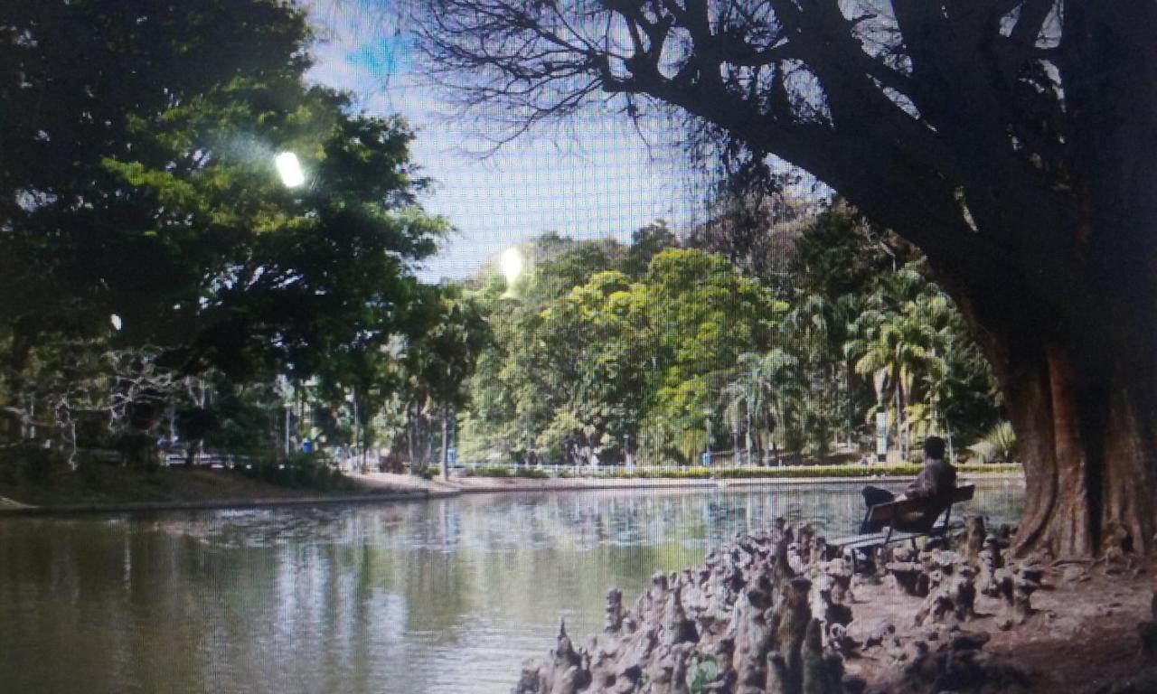 Edward Monthy Blacky Hospedagem domiciliar São Paulo