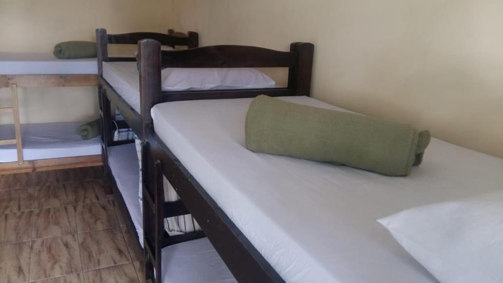Art Brazil Moema Hostel