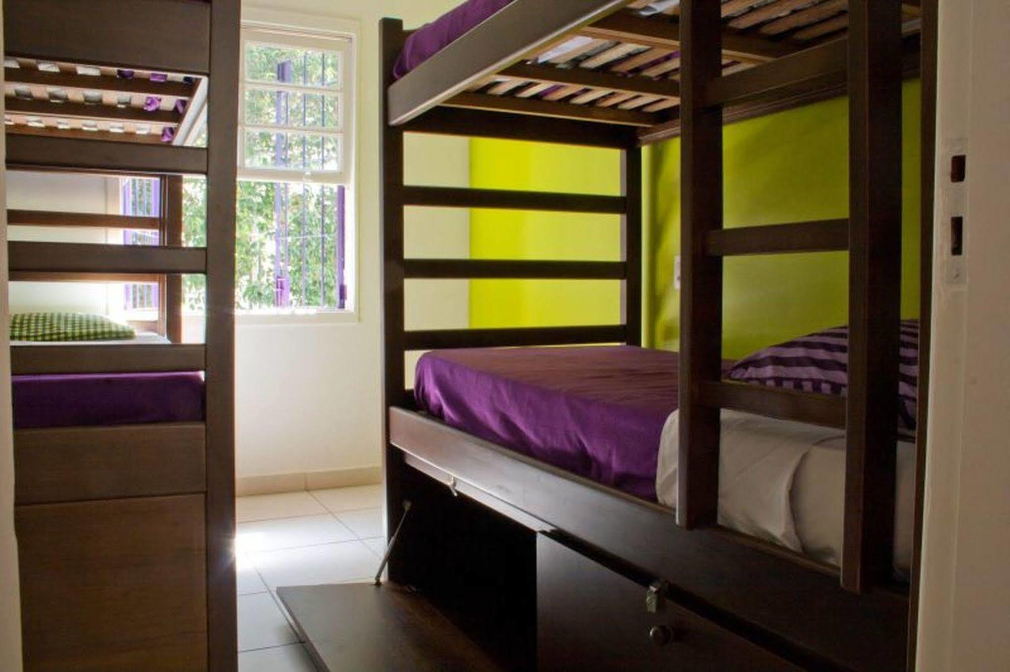 Purple House * Sao Paulo