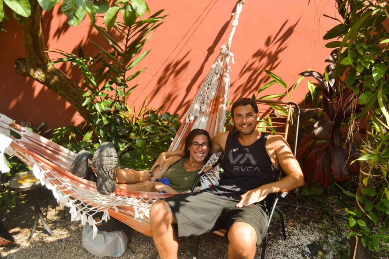 Albergue Alice E Padoca Vegan *
