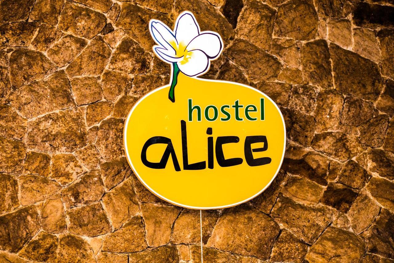 Alice E Padoca Vegan Albergue *