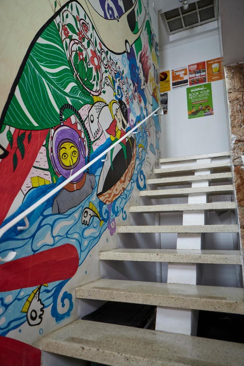 Albergue Alice E Padoca Vegan