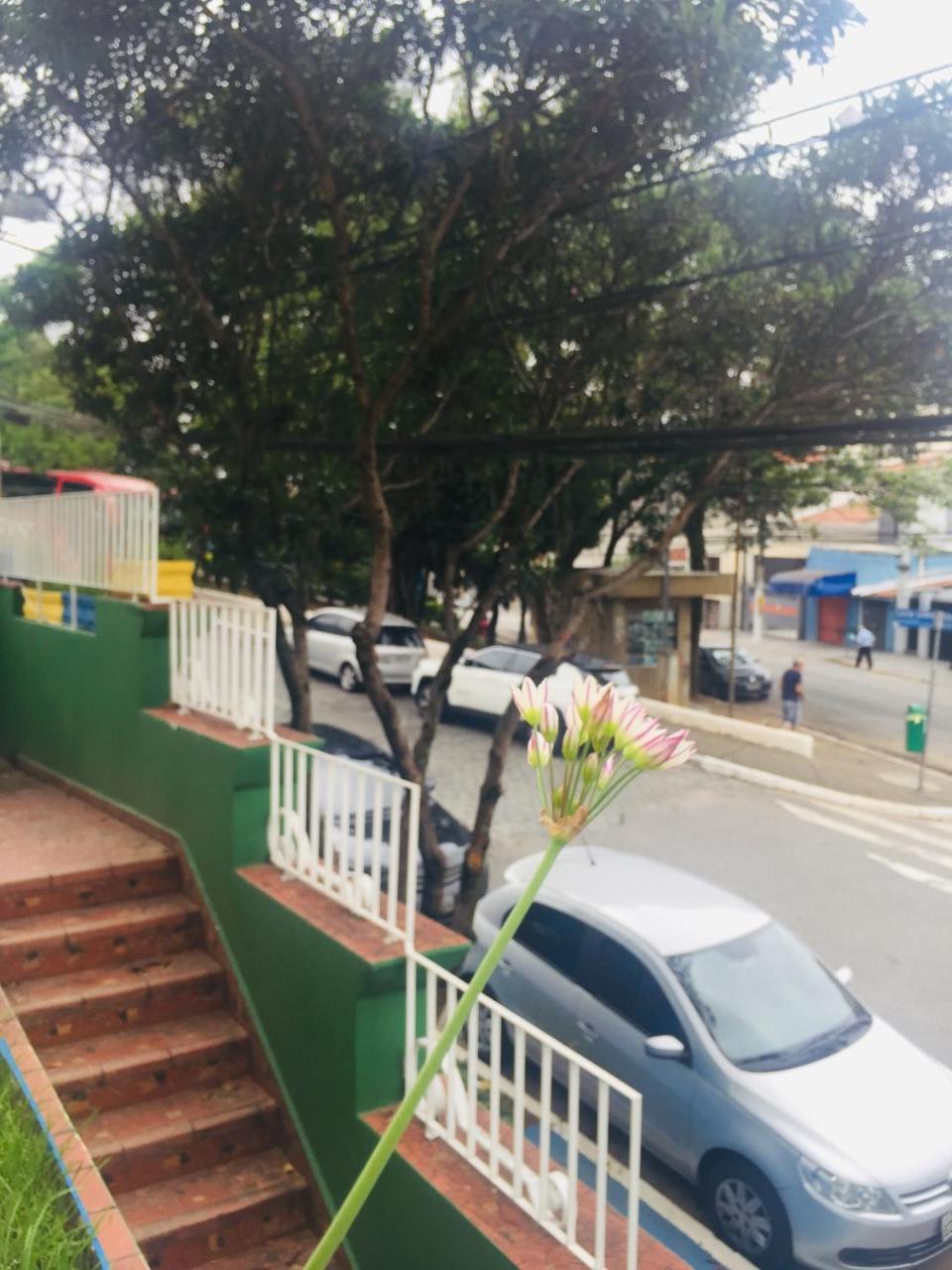 Brasil Sp * São Paulo