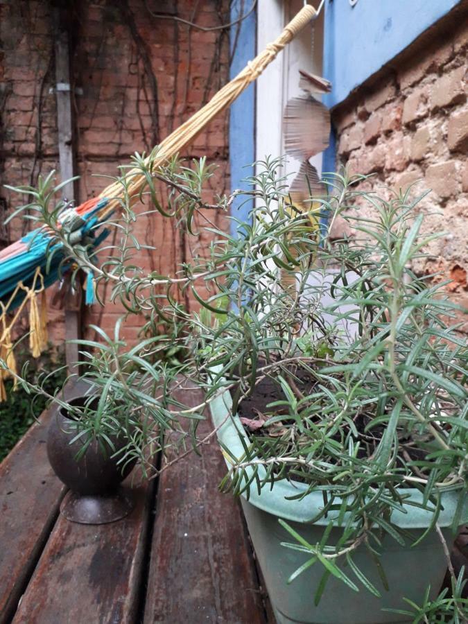 Albergue Brazil Backpackers
