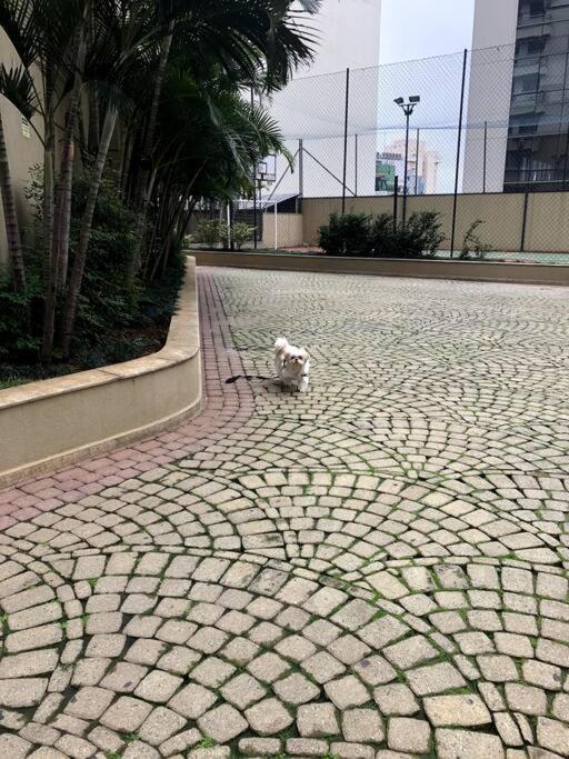 2 Quartos Proximo A Av Paulista Bc02 * São Paulo