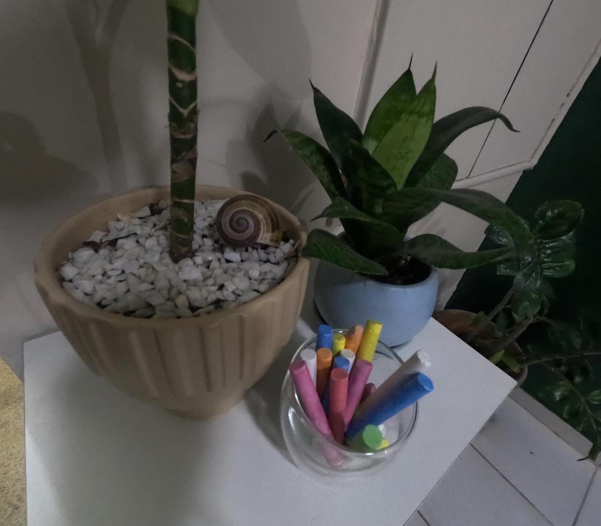 Star Albergue São Paulo