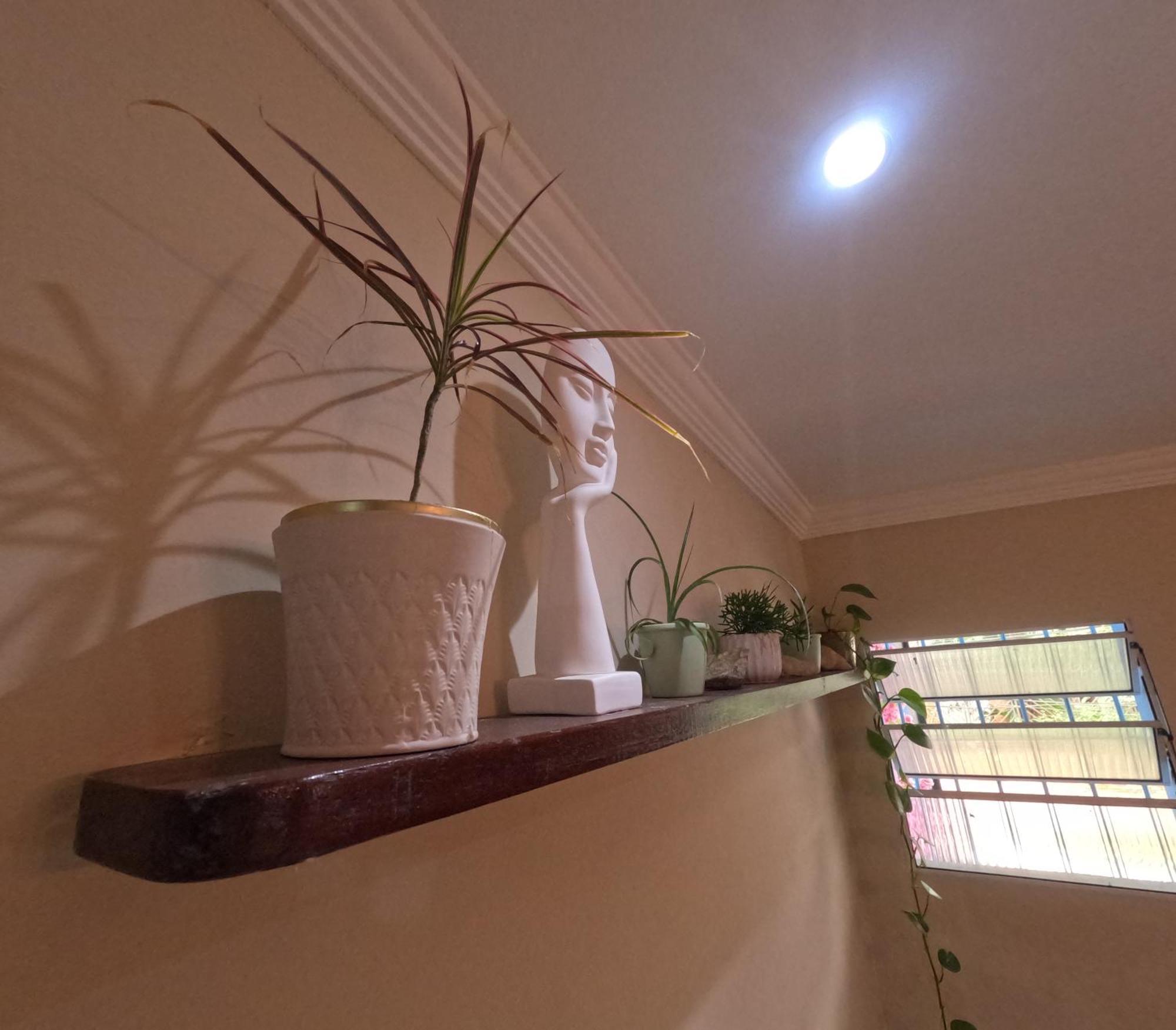 Albergue Star