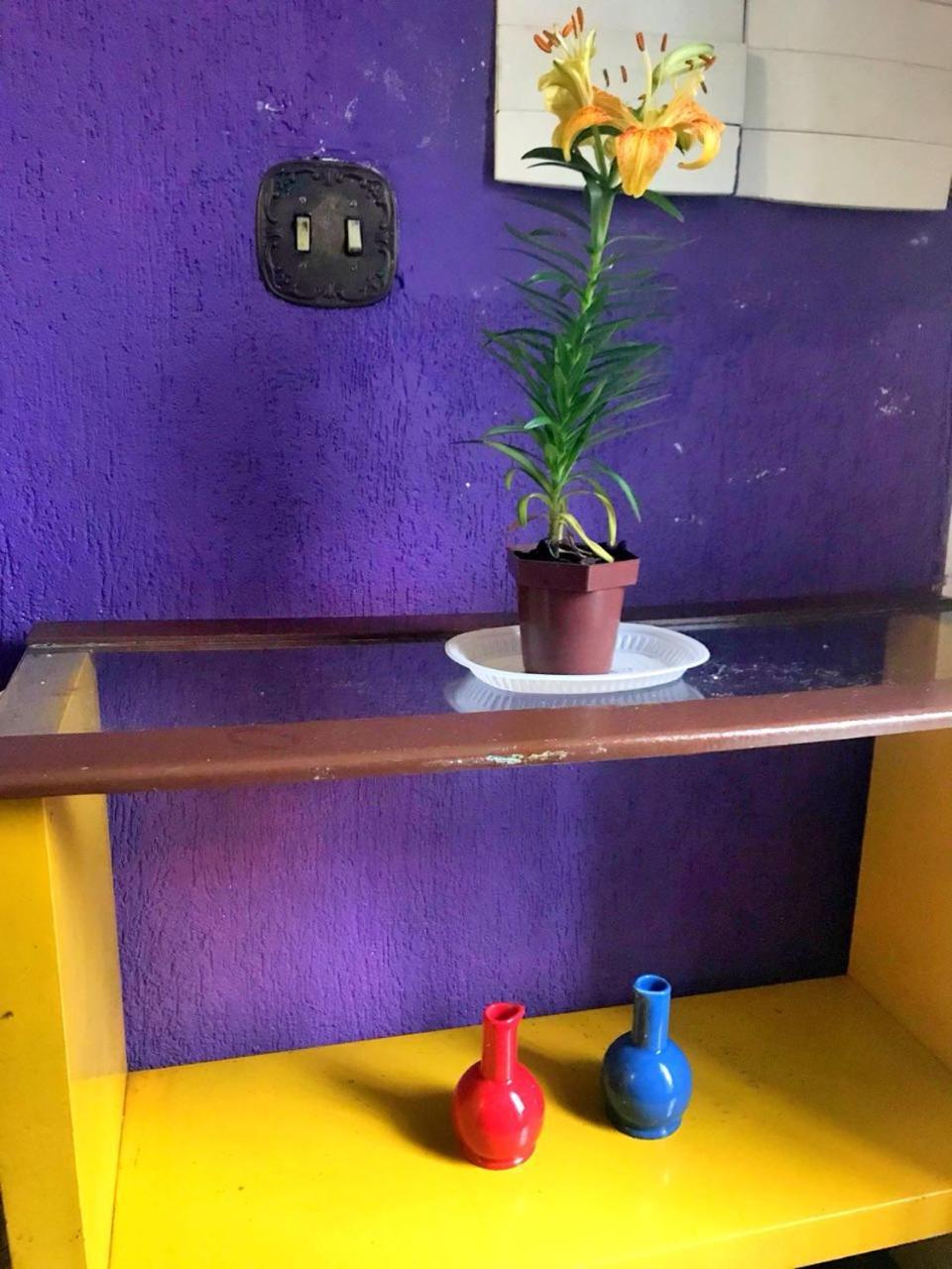 Redblue Higienopolis Hostel
