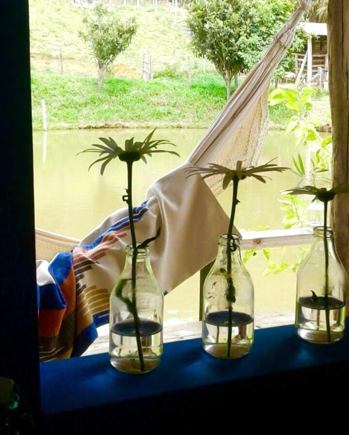 Homestay Mineira Sitio Quebello *