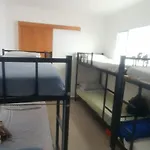 Metrô Hostel SP - Perto do Expocenter, Anhembi, Sambódromo, Estação de Metro e Rodoviária Tiete