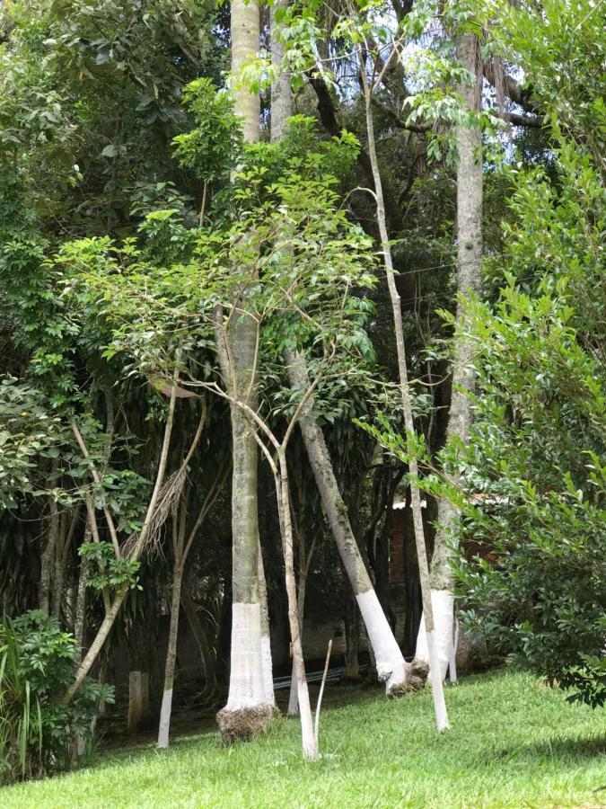 Chacara Vovo Joao Holiday home