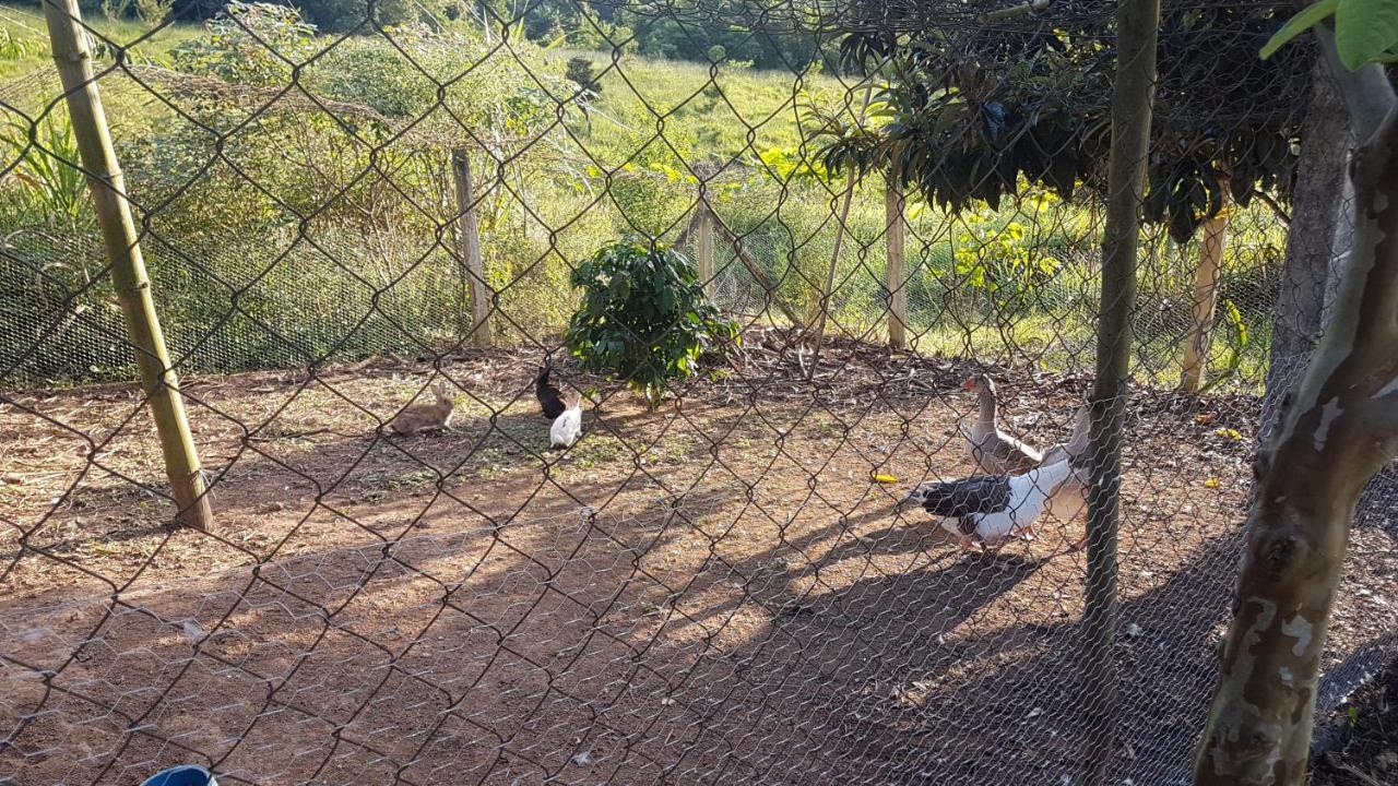 Sitio Santa Filomena - Sao Roque Sao Paulo