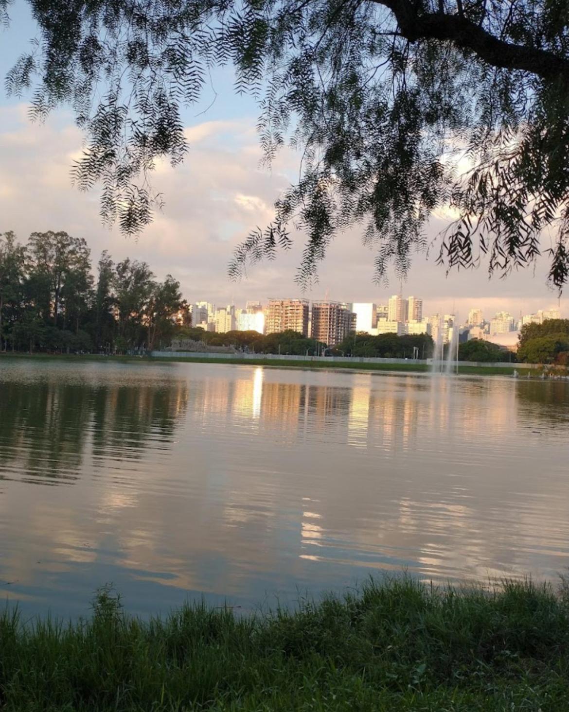 Novissimo Duplex Moema Ibirapuera Sao Paulo