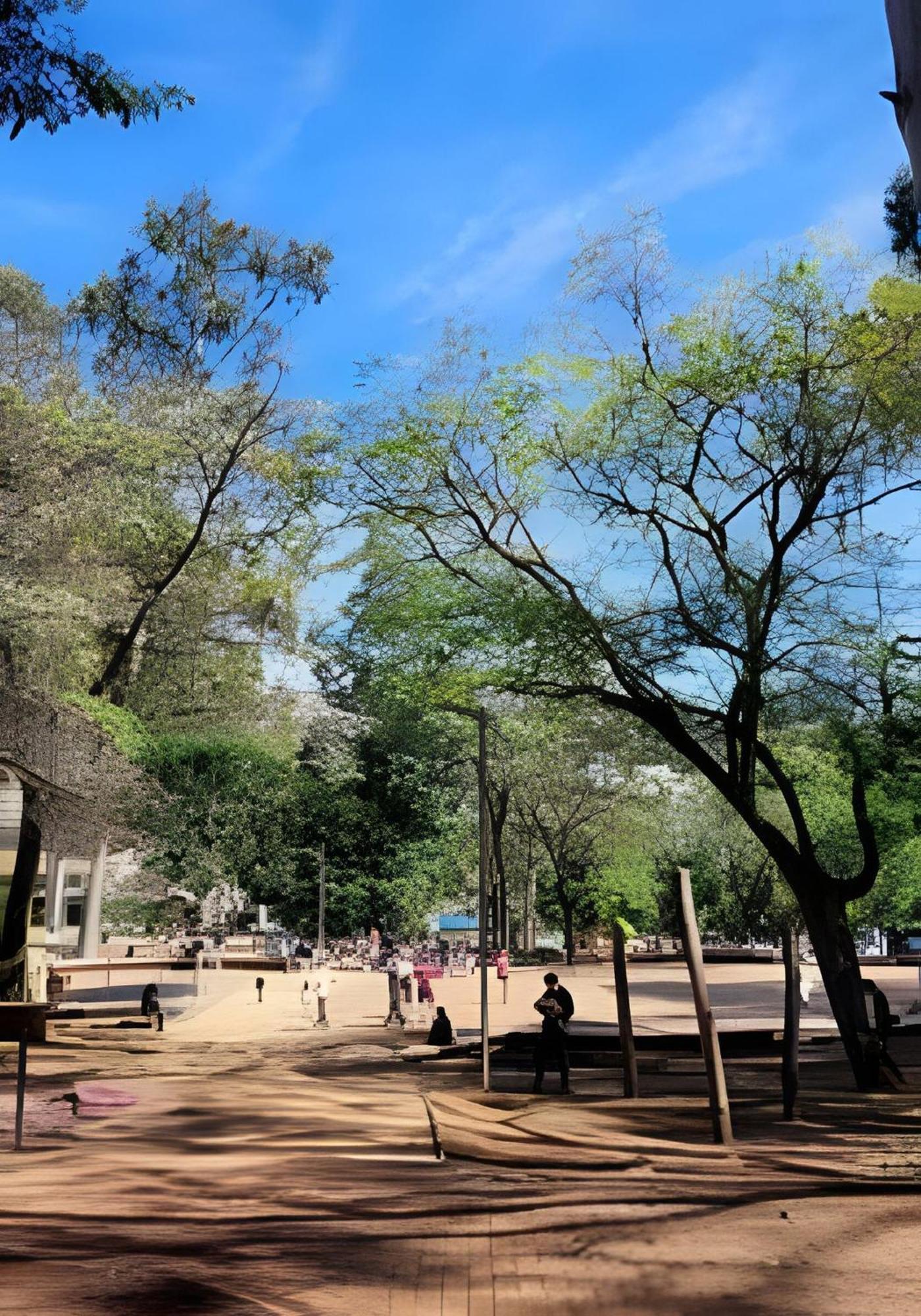 Pinheiros-prox. Allianz Parque E Hosp. Clinicas Apartamento São Paulo