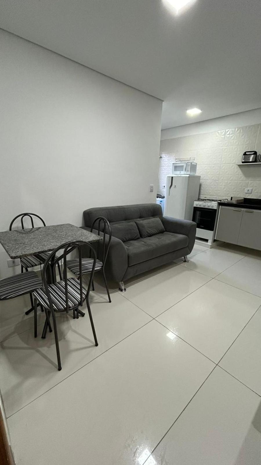 Apartamento Ceic Itau- Expo Sp- Aeroporto Cgh - Autodromo Interlago São Paulo