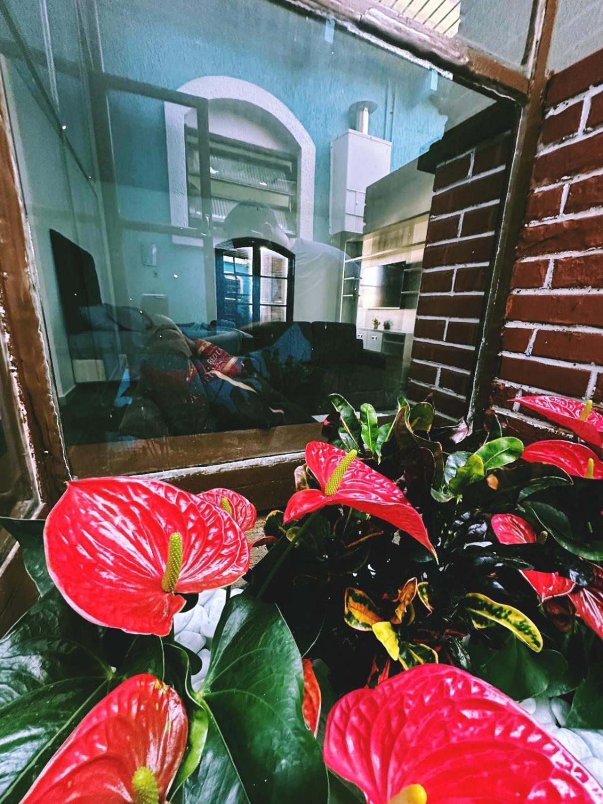 Florida Homestay Sao Paulo