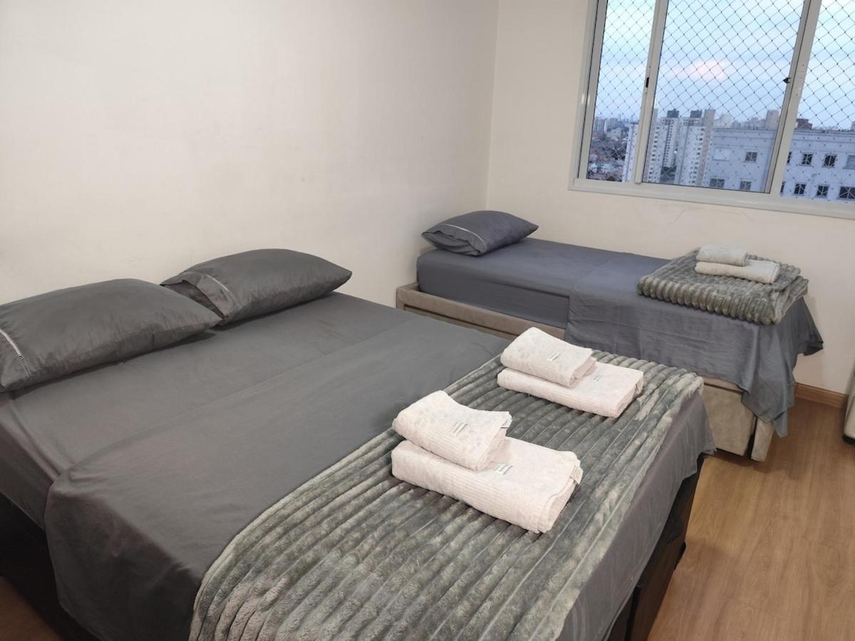 Apartamento Vista Incrivel No Bras - Ultimo Andar Com Ar E 2 Vagas São Paulo