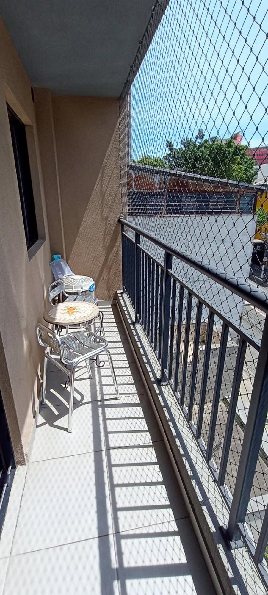 Evergreen Escape - Lindo Ape Na Liberdade